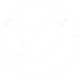 Twitter Logo